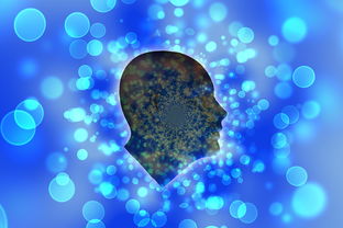 食材供应链采购平台：让餐饮采购从繁琐到高效的蜕变(图1)